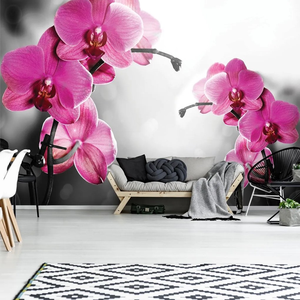 Fototapeta - Orchidey (152,5x104 cm)