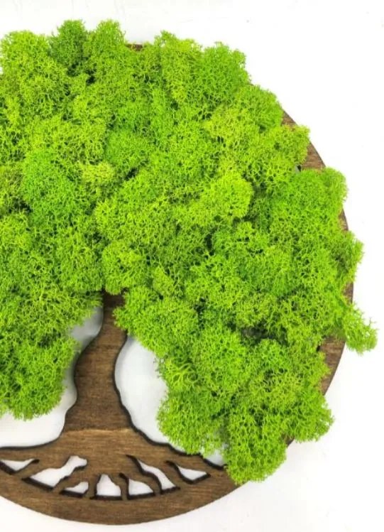 Strom na stenu z machu Cyrene 20 cm