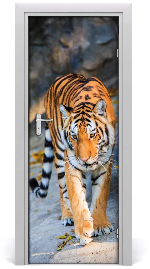 Samolepiace fototapety na dvere tiger 85x205 cm