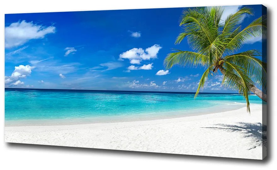 Foto obraz na plátne Tropická pláž pl-oc-100x50-f-158283371