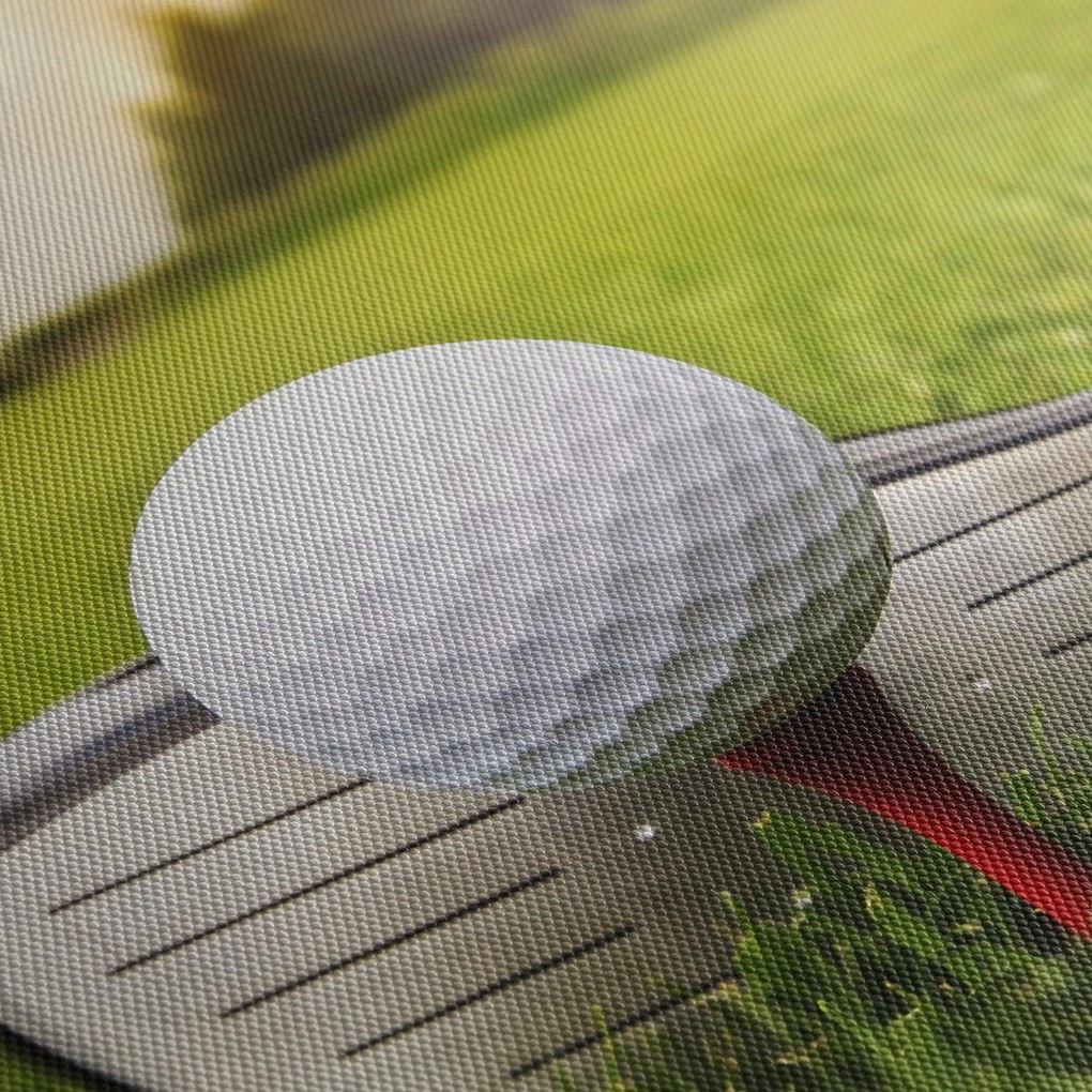 Obraz - Golf (90x60 cm)