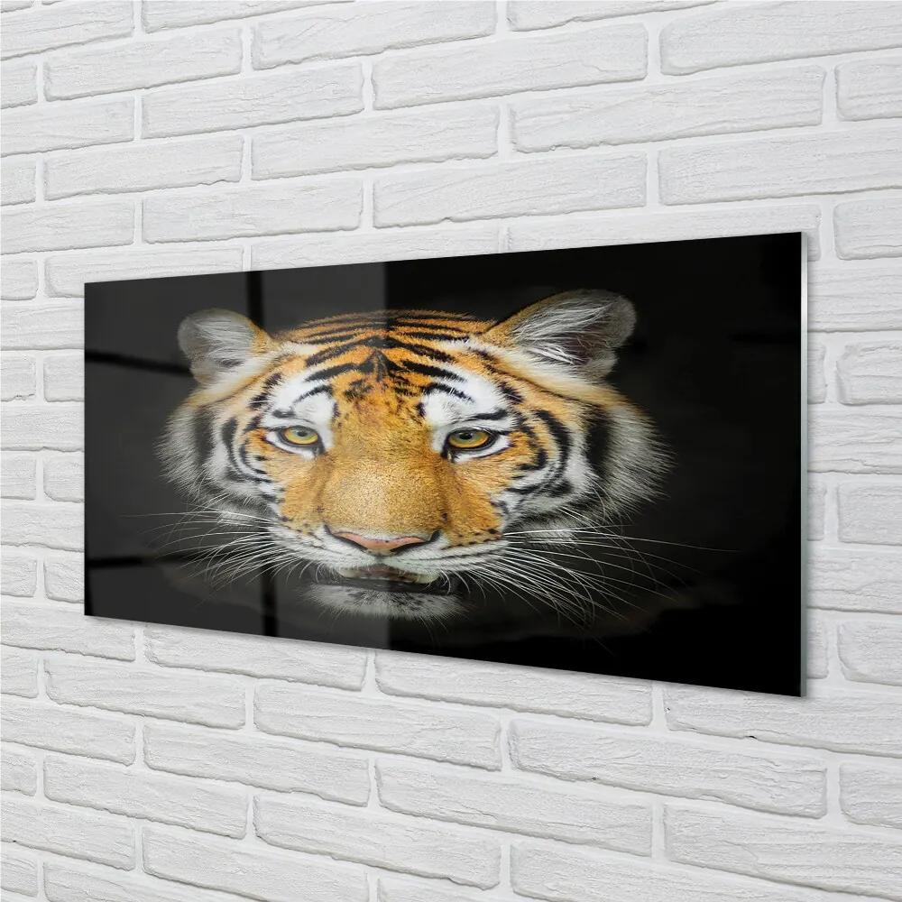 Sklenený obraz tiger 120x60 cm