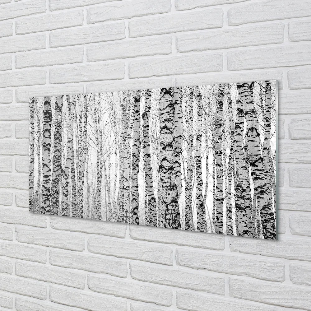 Nástenný panel  Čierna a biela breza 125x50 cm