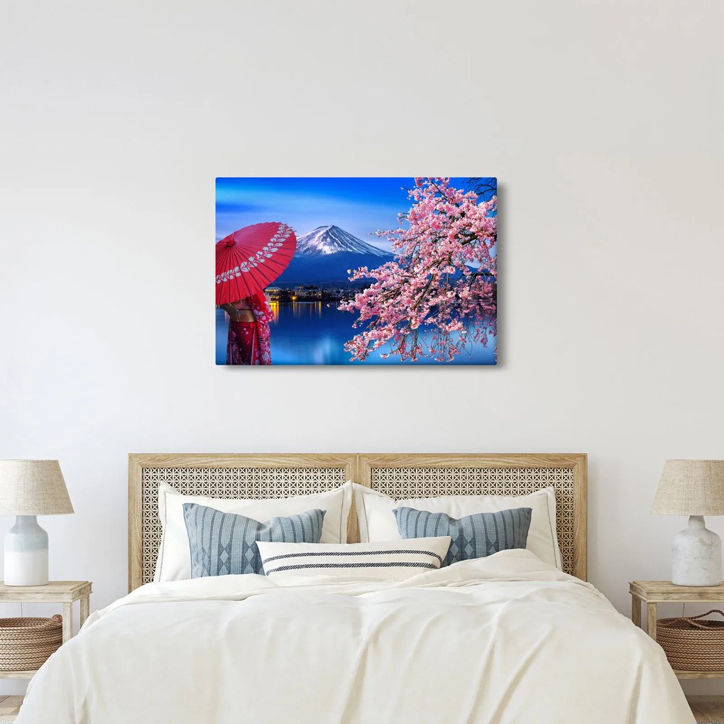 Obraz - Výhľad na vrchol, Japonsko (90x60 cm)