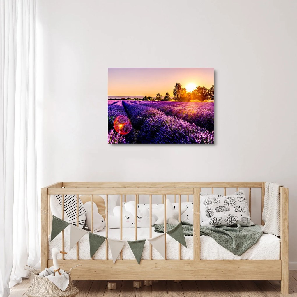 Sklenený obraz levanduľového pole, Provence (70x50 cm)
