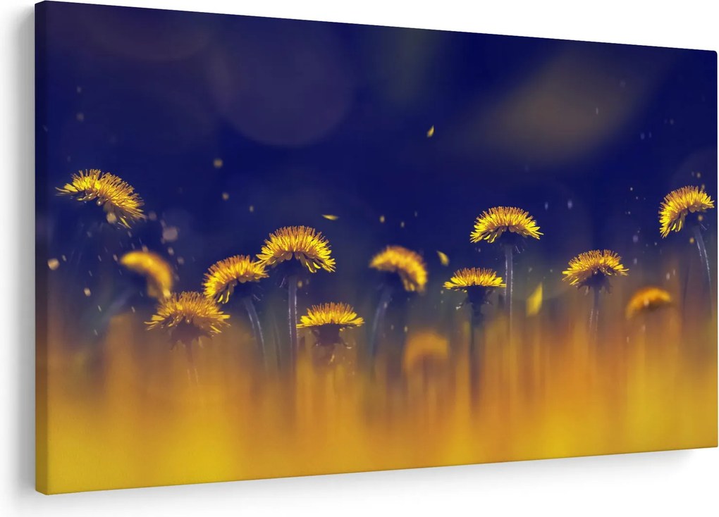 Obraz - Púpavy (90x60 cm)