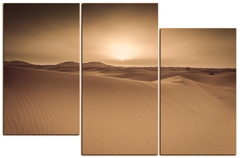 Obraz na plátne - Púšť Sahara 1131FD (105x70 cm)