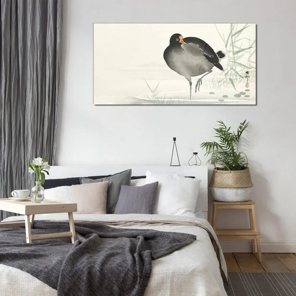 Sklenený obraz Zvieracie vták voda