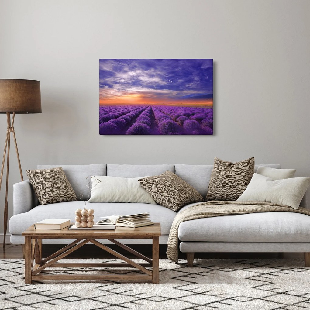 Obraz levanduľového pole (90x60 cm)