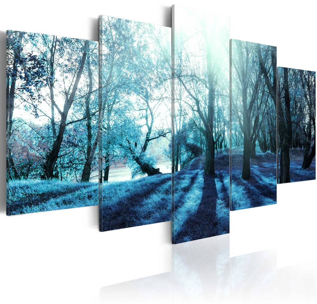 Artgeist Obraz - Blue glade Veľkosť: 225x112.5, Verzia: Premium Print