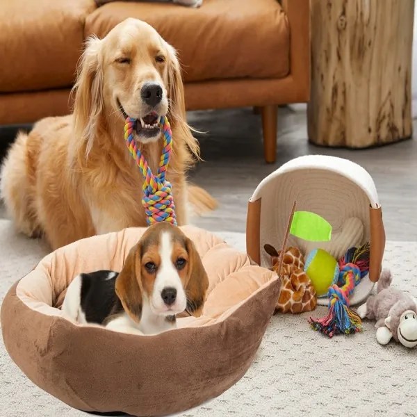 Pelech pre psa / mačku M - Avokádo