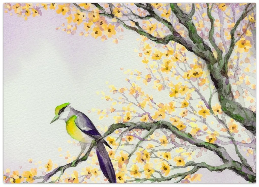 Obraz - Akvarelový vtáčik na strome (70x50 cm)