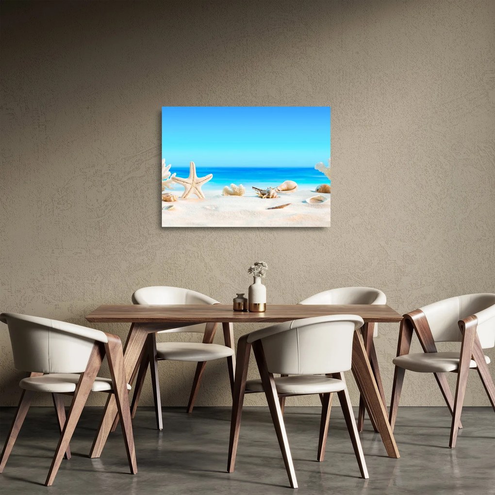 Sklenený obraz - Zátišie s mušľami (70x50 cm)