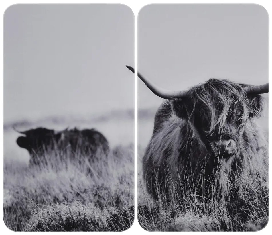 Kryty na sporák v súprave 2 ks z tvrdeného skla 30x52 cm Universal Highland Cattle – Wenko