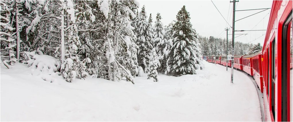 Obraz - Vlak v zasneženej krajine (120x50 cm)