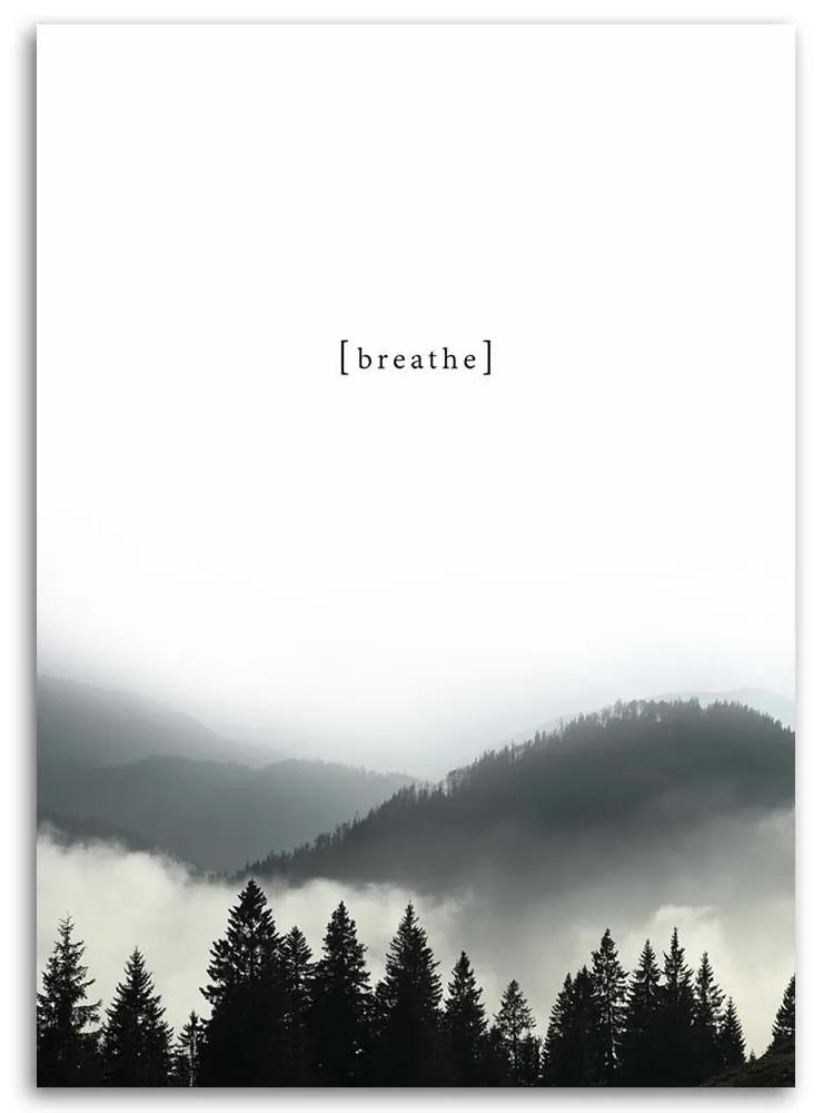 Obraz na plátně Forest Mountain Black White - 40x60 cm