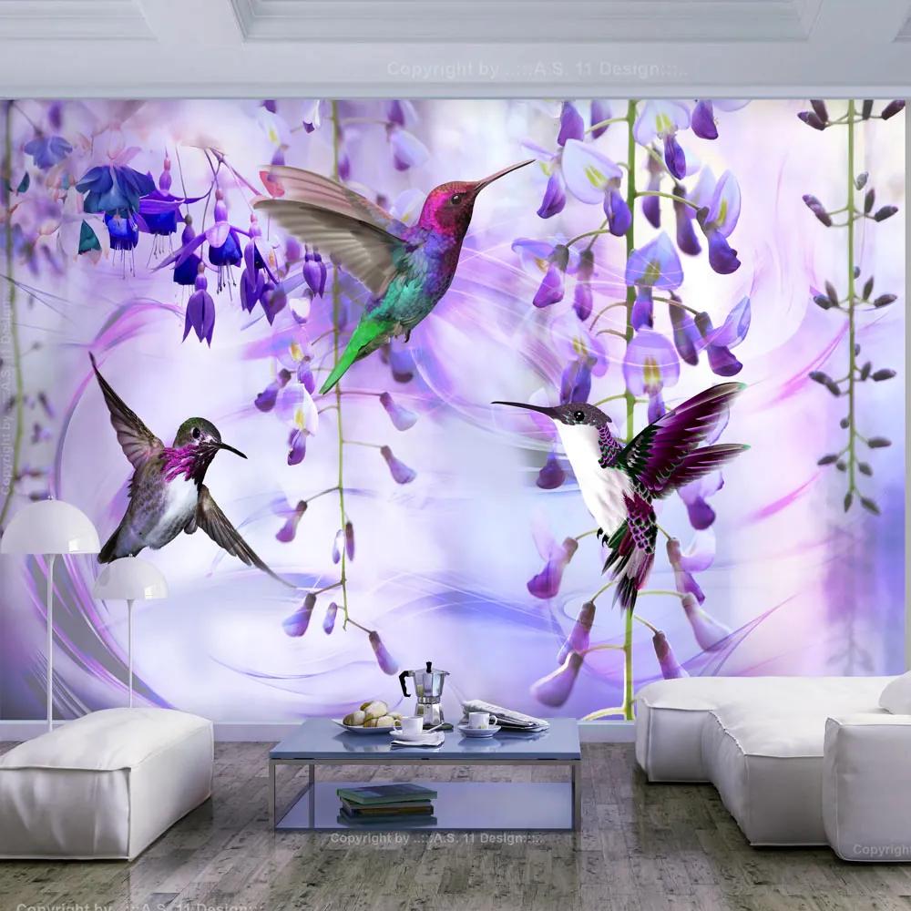Artgeist Fototapeta - Flying Hummingbirds (Violet) Veľkosť: 196x140, Verzia: Samolepiaca