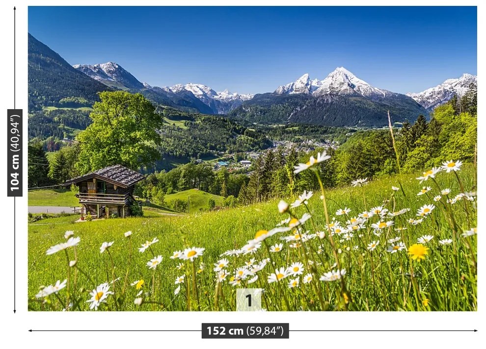 Fototapeta Vliesová Bavorsko hory 104x70 cm