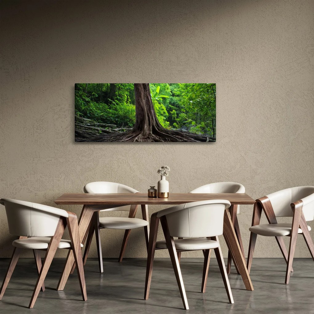 Obraz - Starý strom s koreňmi (120x50 cm)