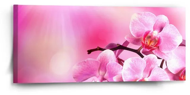 Sablio Obraz Kvety orchidey - 110x50 cm