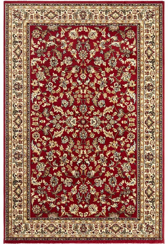 Koberce Breno Kusový koberec SOLID 50/CEC, červená, viacfarebná,300 x 400 cm