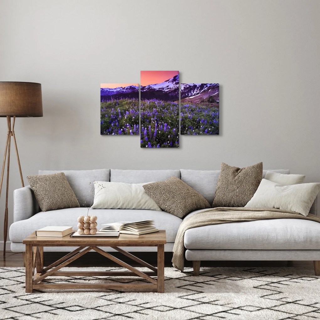 Obraz - Sopka a kvety (90x60 cm)