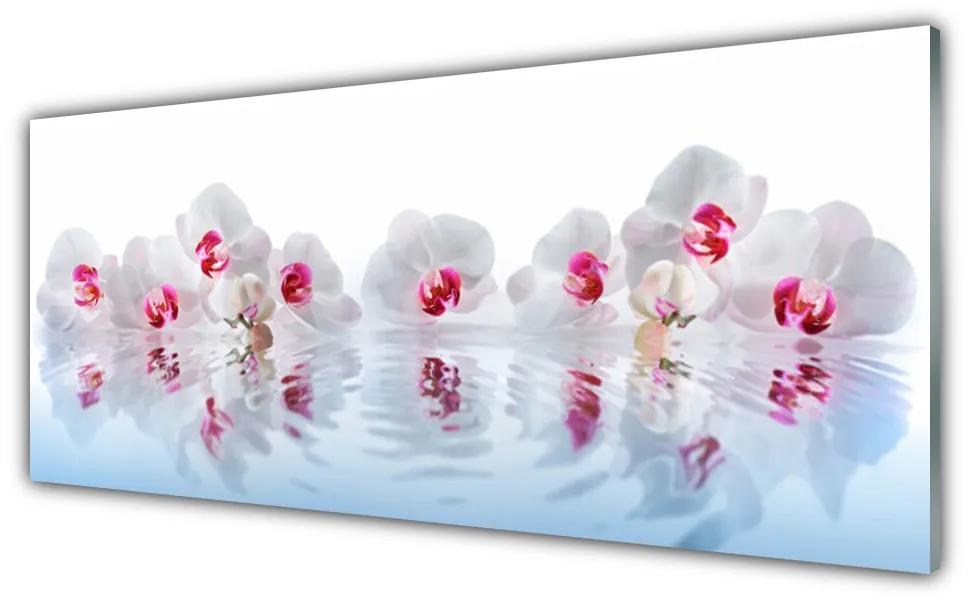 Obraz na akrylátovom skle Kvety rastlina príroda umenie 125x50 cm