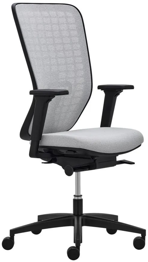 RIM -  RIM Ergonomická kancelárska stolička SPACE SP 1501 čalúnenie PRINCE koža