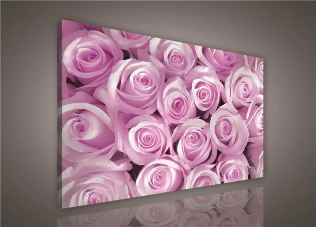 Obraz na stenu ružové ruže 100 x 75 cm