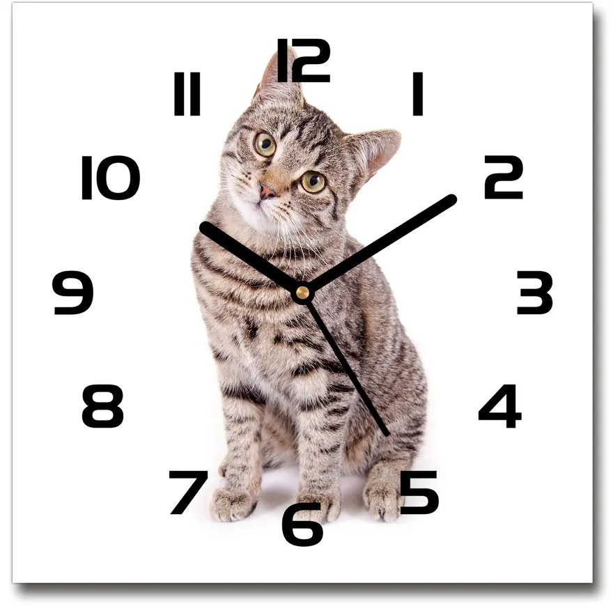 Sklenené nástenné hodiny štvorec Mačka pl_zsk_30x30_c-f_78018175