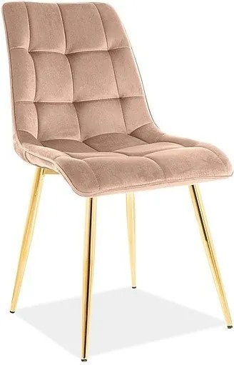 Čalúnená jedálenská stolička Chic Gold Velvet béžová