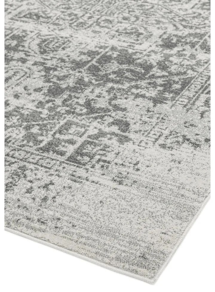 Sivý koberec 160x230 cm Nova – Asiatic Carpets