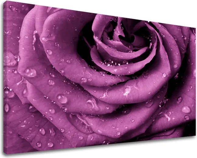 Obraz na stenu KVETY KV019E11 - 20x30 cm