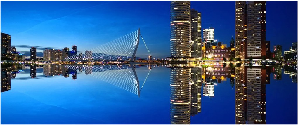 Obraz - nočný Rotterdam (120x50 cm)