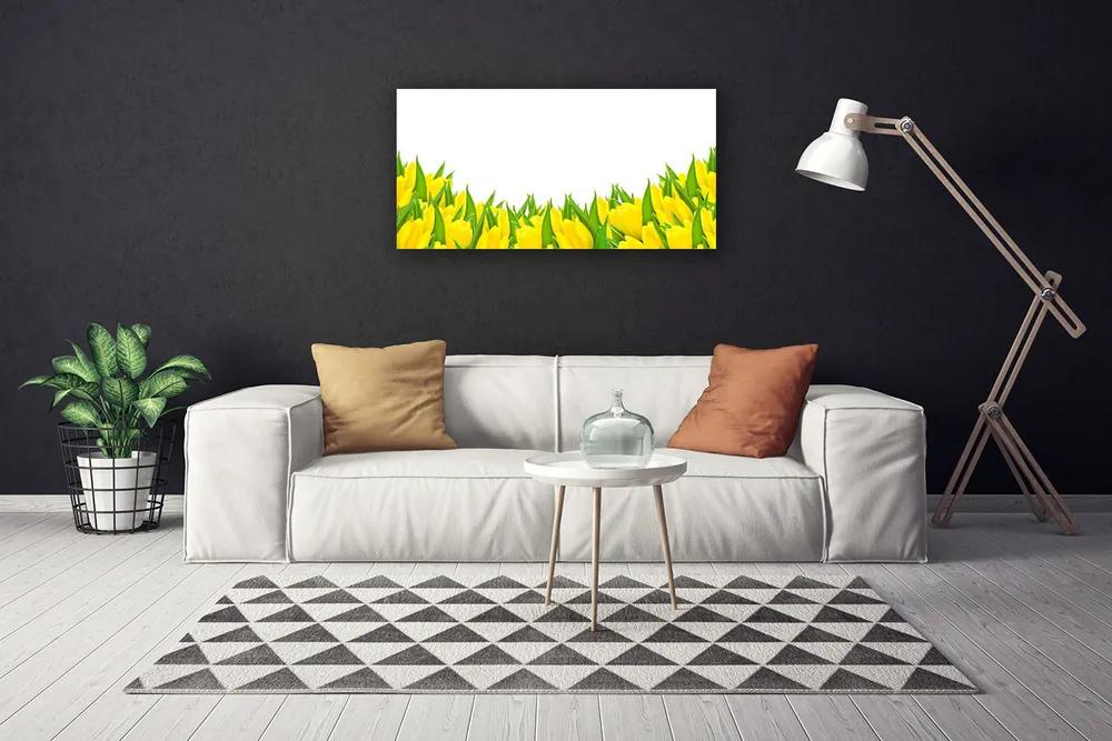Obraz Canvas Kvety príroda tulipány 120x60 cm