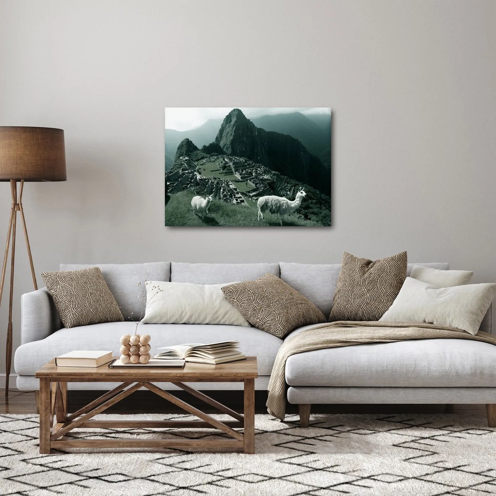 Obraz - Lamy na Machu Picchu v Peru (70x50 cm)