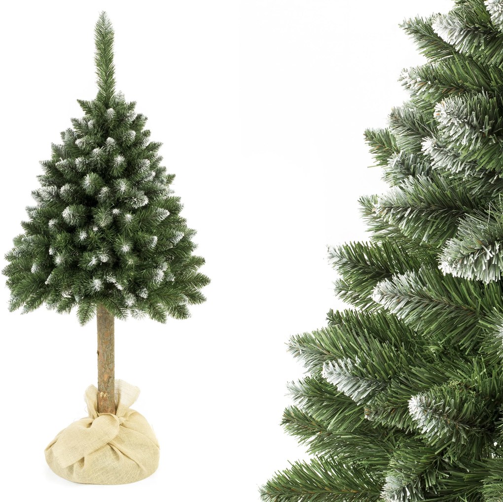 Vianočný stromček Borovica diamantová na pníku 220 cm