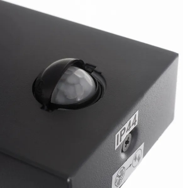 Eglo 97451 - Vonkajšie nástenné svietidlo so senzorom CALDIERO 1xE27/10W/230V IP44