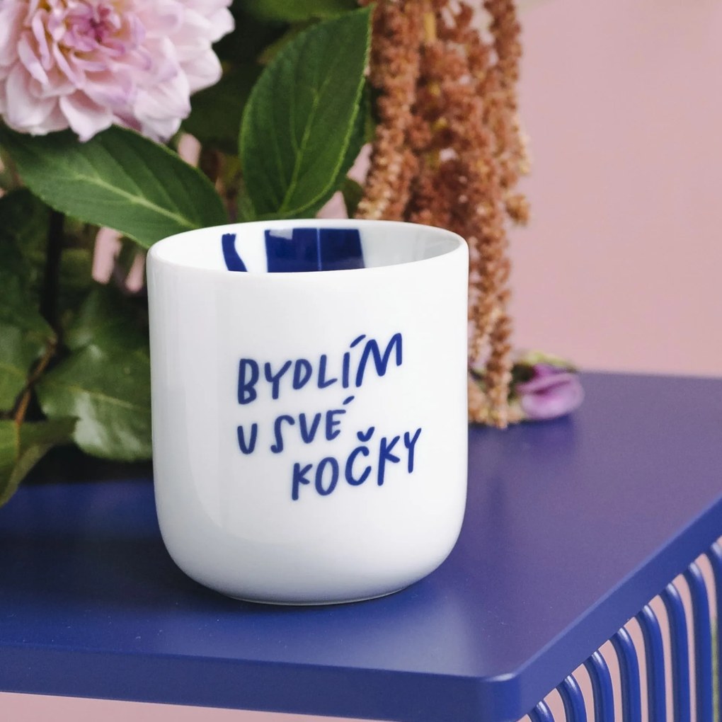 Bella Rose Porcelánový hrnček Bydlím u své kočky 270 ml