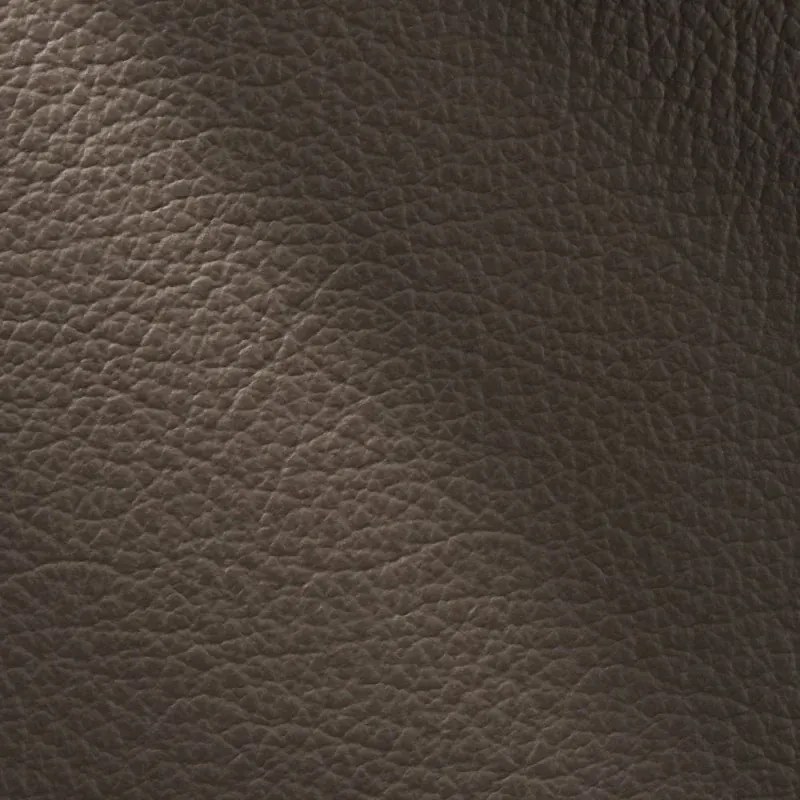 Moderné kožené kreslo LOREN II, hnedá (madras - 111 bark)