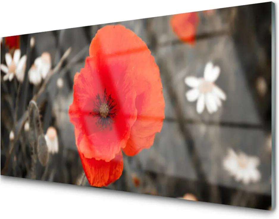 Obraz na akrylátovom skle Sklenený Kvety Rastlina