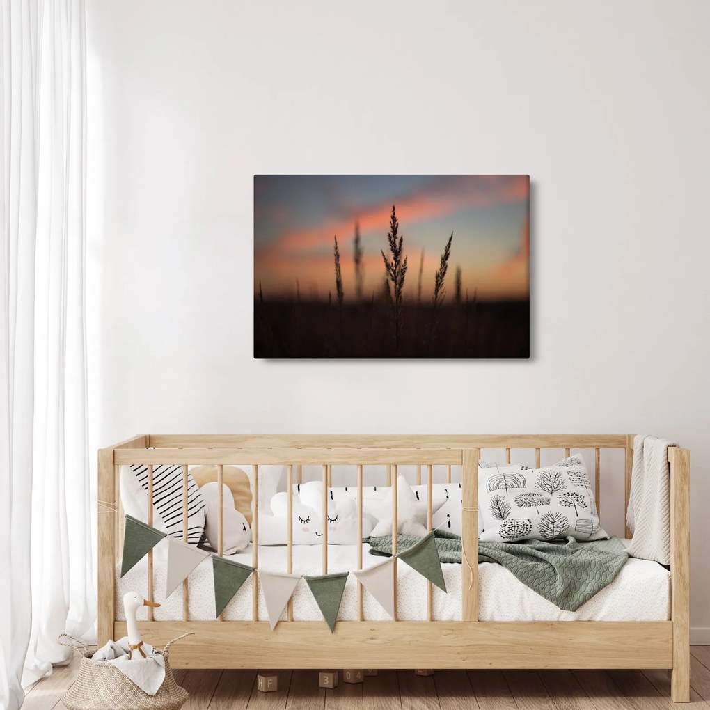 Obraz - Silueta rastliny (90x60 cm)