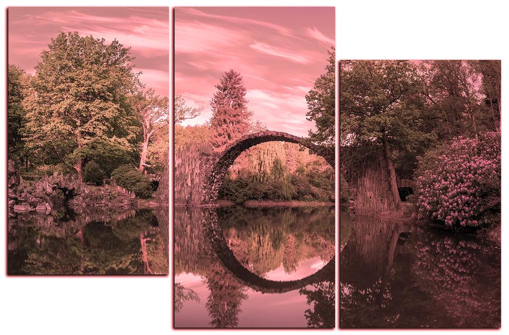Obraz na plátne - Most v parku v Kromlau 1246VD (105x70 cm)