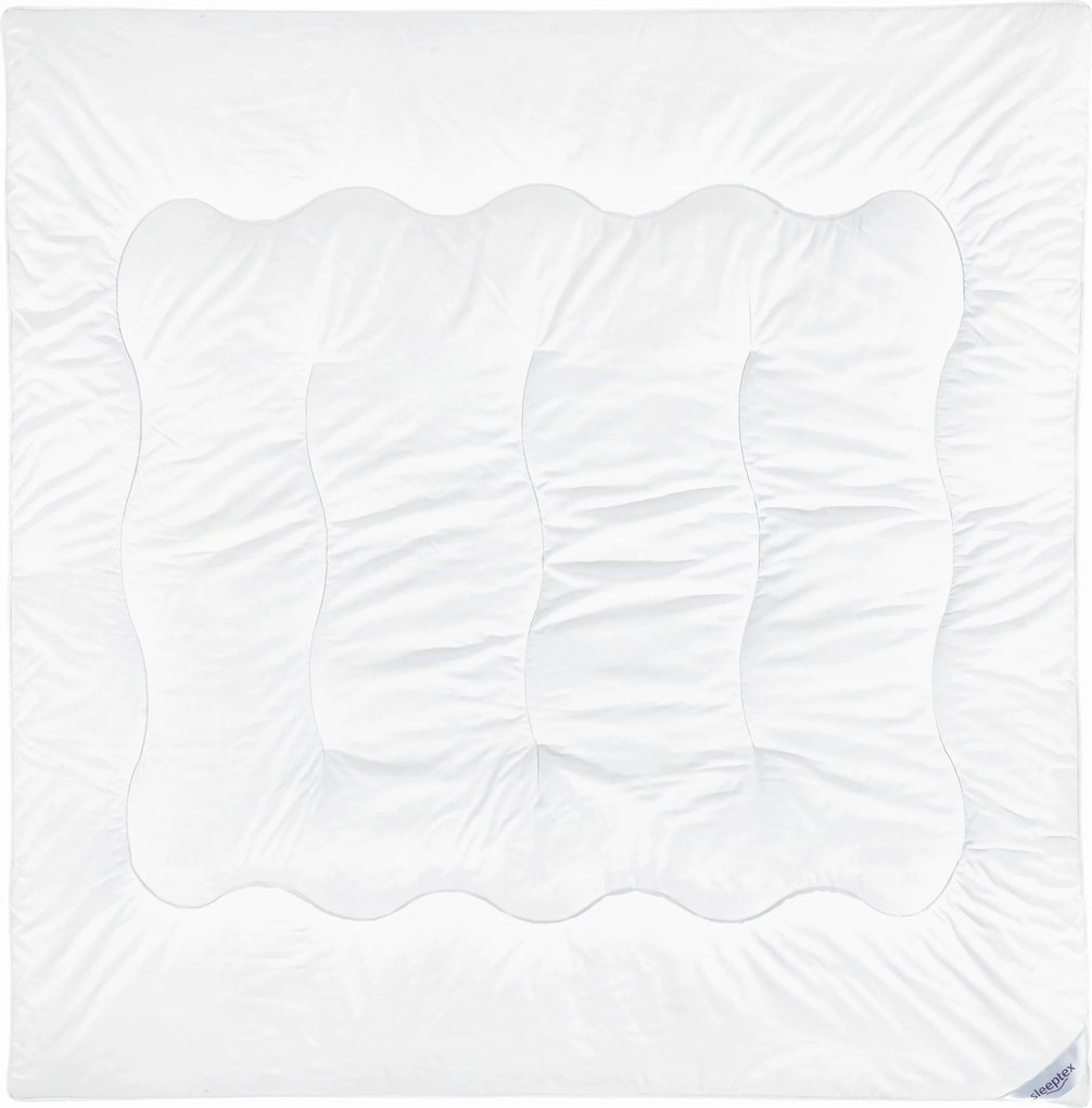 XXXLutz CELOROČNÁ PRIKRÝVKA, 200/200 cm, polyester Sleeptex - Prikrývky & vankúše - 003284009001