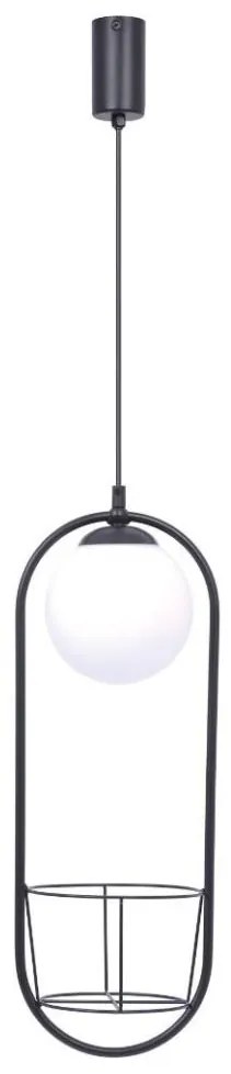 Zuma Line 5003 - Luster na lanku PLANT 1xE14/40W/230V čierna