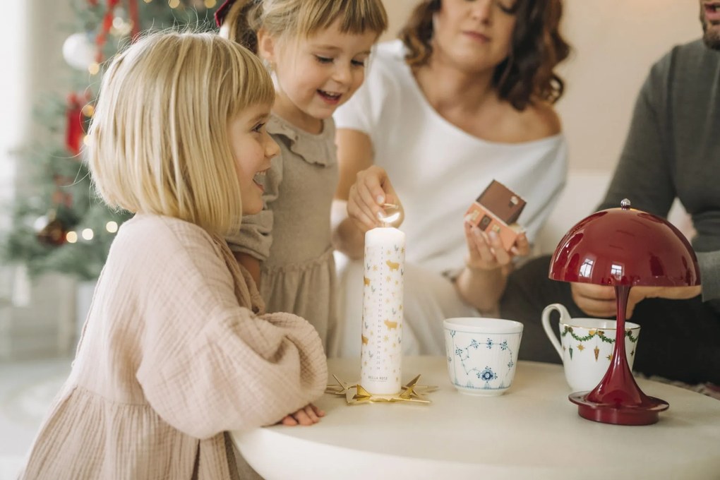 Bella Rose Adventní svíčka Zlaté prasátko