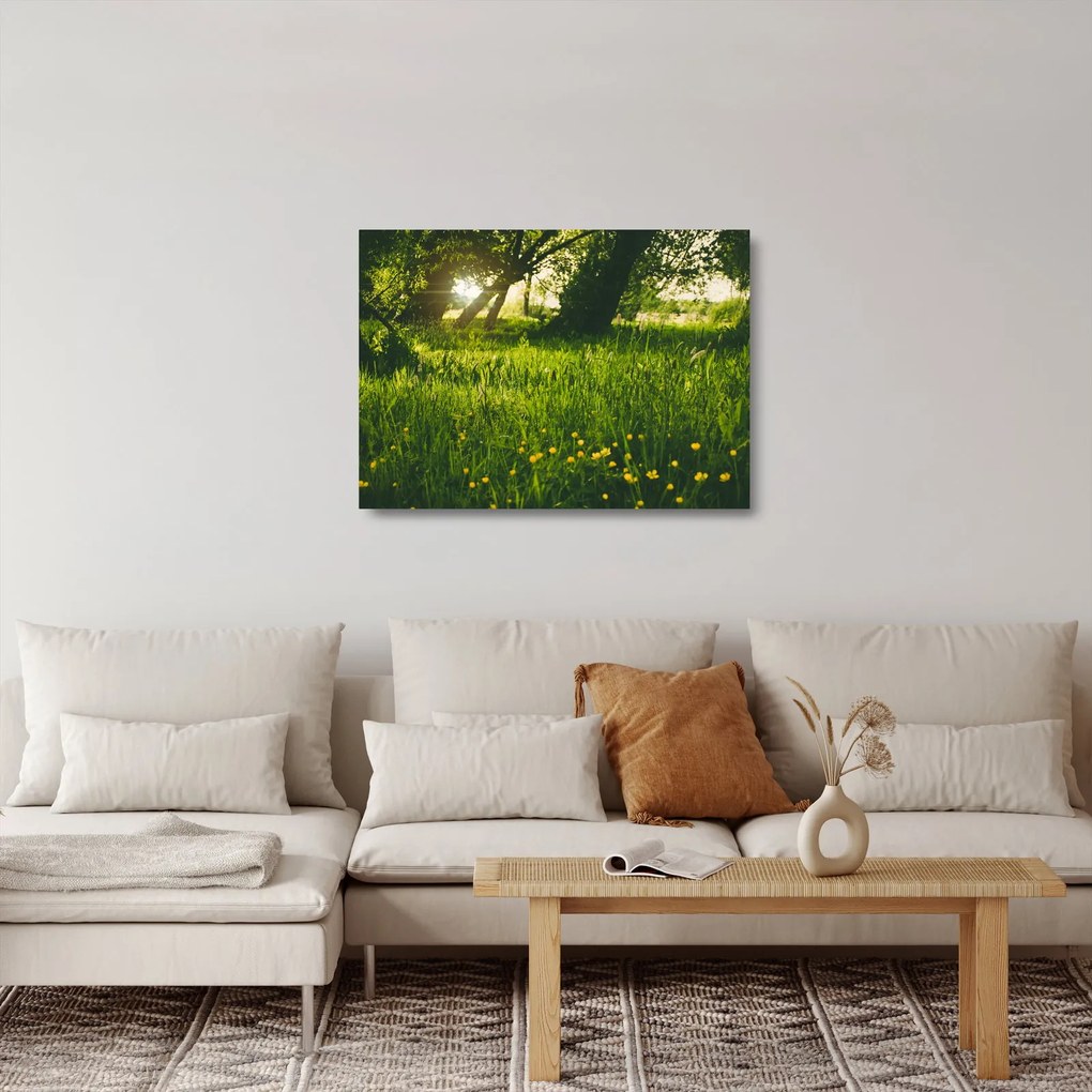 Sklenený obraz prírody - lúka (70x50 cm)