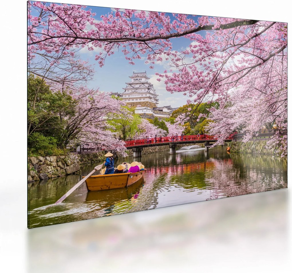 Sklenený obraz japonskej čerešne (70x50 cm)
