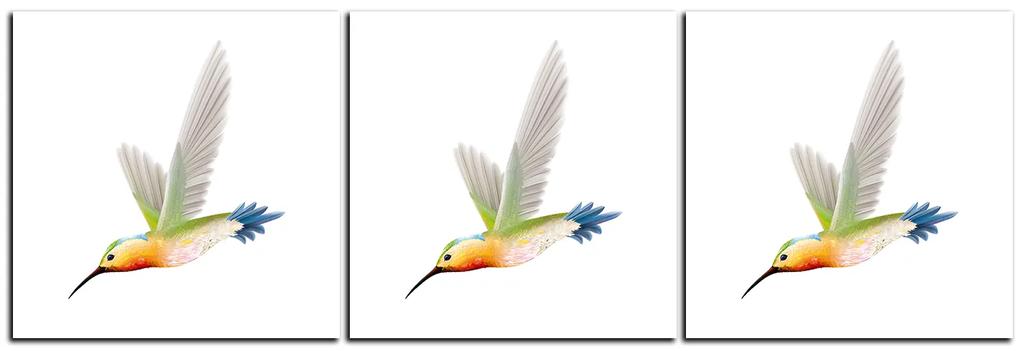 Obraz na plátne - Kolibrík na bielom pozadí - panoráma 589B (90x30 cm)