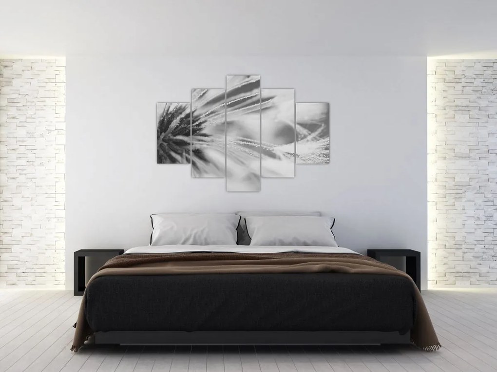 Obraz - Púpava (150x105 cm)